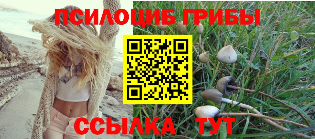 Златоуст  Галлюциногенные грибы GOLDEN TEACHER  Вход с VPN 
