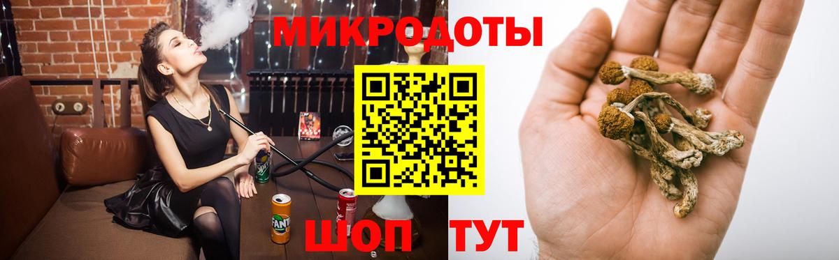 Псилоцибиновые грибы Psilocybine cubensis Златоуст